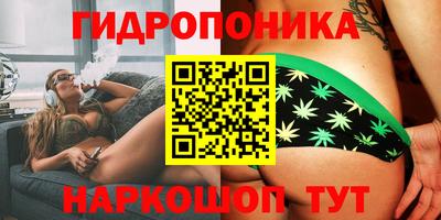 прущая мука Будённовск