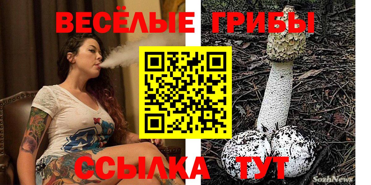 Галлюциногенные грибы мицелий  Вход с VPN  Алапаевск 